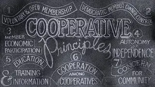 Building Sustainable and Scalable Communities: Insights from Land Co-ops