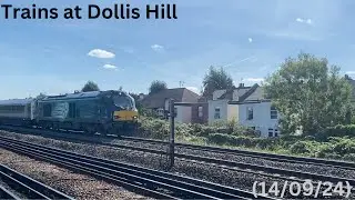 Trains at Dollis Hill tube station (14/09/24)