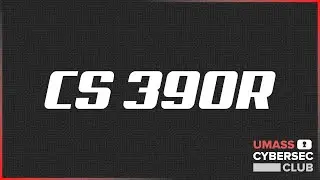 390R 13. Dynamic Program Analysis (Intel Pin & Taint Analysis)