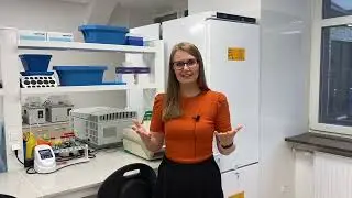 Apply for a PhD. Join the team led by Dr. Ewelina Małecka at the IIMCB
