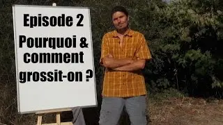Ob&eacute;sit&eacute;, surpoids, diab&egrave;te, comprendre et agir n&deg;2 - Pourquoi grossit-on ? - www.regenere.org