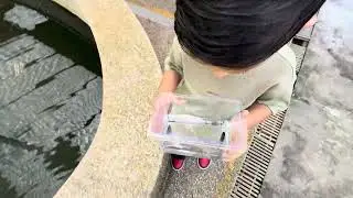 Qian Hu fish farm- Caught it!!