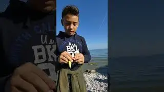 РЫБАЛКА: приманки BERSA Сделано в Италии #bersa #madeinitaly #наживки #приманки #рыбалка