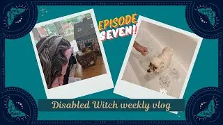 Twig has a bath & mini thrift haul |  Disabled witch Weekly Vlog 07 [CC]