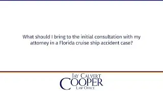 What should I bring to the initial consultation with my attorney in a Florida cruise ship