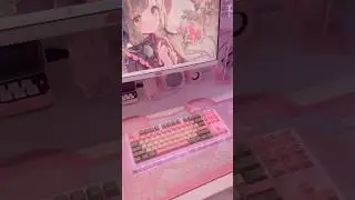What color would you pick? #gaming #unboxing #pc #aesthetic #mukbang