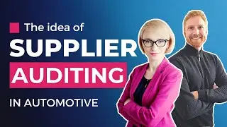 Supplier auditing