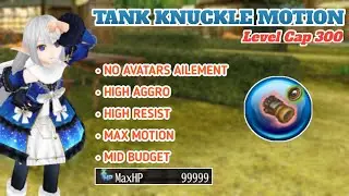 Toram Online - Tank Knuckle Motion Build Level Cap 300
