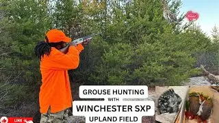 Ruffed Grouse Hunting: Winchester SXP Shotgun Tips & Techniques #grouse #birdhunting