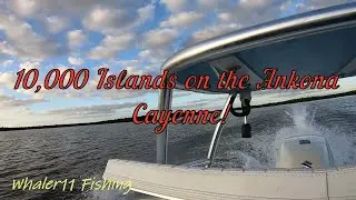 Fishing 10,000 islands! TARPON, SNOOK, TROUT, and GROUPER back to back! (where did the Redfish go??)