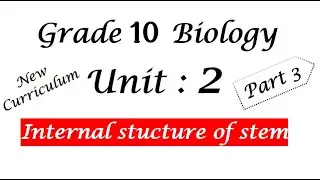 Grade 10 Biology unit 2 part 3 internal parts of stem   / new curriculum / Globe Dock/