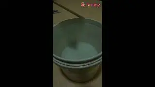 Leaf Boat #science #experiment @SchoolexOfficial