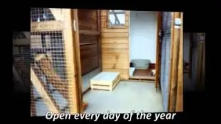 Cattery - Knuston Boarding Cattery