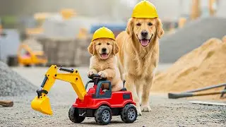 Mother Dog Works Hard at Construction Site to Buy New Toy Excavator for Puppy, Heartwarming Story🚜🐶💛