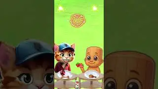 Thank you, you are such a kind and understanding kitten.#cat #imut #trendingshorts #videoshort