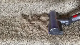 Staircase Saturday | Dog Hair and Crunchies and Dust! Oh My!