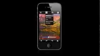 iPhone User Interface