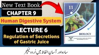 Regulation of Secretion of Gastric Juice | Class 11 Biology | Chapter 9 |New Book 2025