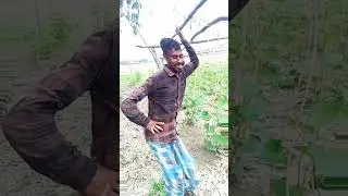 #dance #music #comedy #dancehindisong danceco medy musi cmusi cfun nyel chombo
