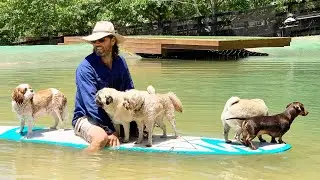 Small Dog Day on the SUP