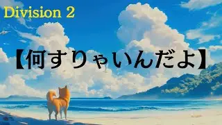 Division 2【PS5 pro】【Lv40からの成り上がり】まずは・・・どうしよう。⚠️野良猫なんで噛みつき注意‼️ 概要欄見てくれると助かります(..)