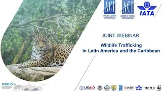 Wildlife Trafficking in Latin America and the Caribbean | English