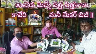 Kaveri Seeds Money Maker BG ll