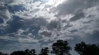No Copyright Videos | Free To Use | Background video | Rainy. Barkha. rainy. weather. greenery.