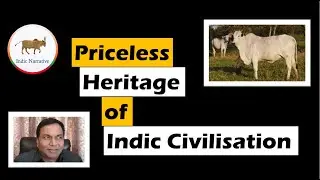 9. Priceless heritage | Indic Civilisation