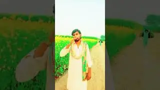 ɔkotow#status #india #instagram #asiftv