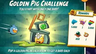 Angry birds 2 the golden pig challenge 15 nov 2025 with blues #ab2 the golden pig challenge today