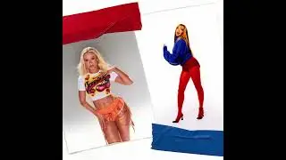 PinkPantheress - Stateside ft. Zara Larsson (Filtered Acapella)
