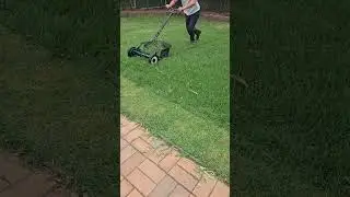 Manual push reel mower #gardening #reel mowing