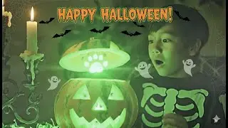 See You Next Halloween! 🍉🎃