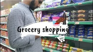 Grocery shopping | Vlogdan #7