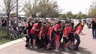 The Official Anthem Flash Mob