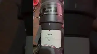 #shorts Canon 2x extender with Sigma 150-600mm lens, #DSLRPhotography,,#PhotographySkills,#DSLRShot