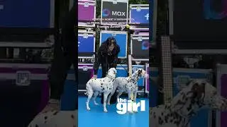 Певица MONA появилась на VK Fest с пушистиками 🥺 #mona #джарахов #маска #звездныеновости