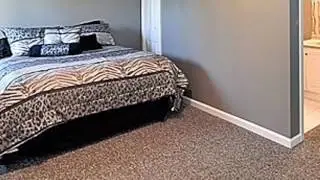 Real estate for sale in Spring Grove Illinois - MLS# 09342062