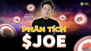 Ph&acirc;n t&iacute;ch Trader Joe ($JOE coin) - Token Dẫn Đầu trong hệ AVAX tr&ecirc;n s&agrave;n DEX