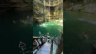 Somewhere in Mexico swimming in a Cenote #cenotes #mexico