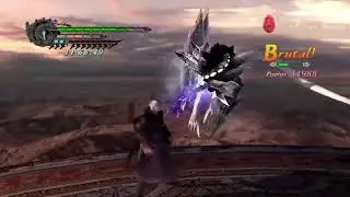 Dmc4