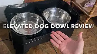 URPOWER 3-in-1 Elevated Dog Bowl - REVIEW - BigBuddeTV #BigBudde #SimbaBrave