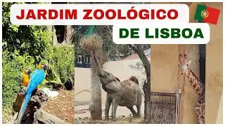Conhecendo o Jardim Zoologico de Lisboa Portugal