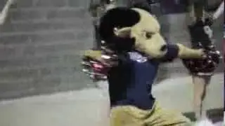 Meet Owasso High School's mascot Rambo