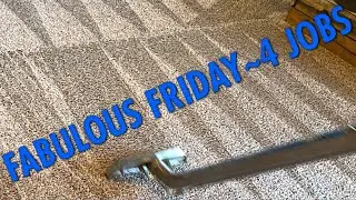 I LOVE IT - neighbor ask can we FIT them in / PET TREATMENT / CRB / CARPET RAKE / AWESOME RESULTS