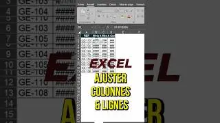 Excel ajuste colonnes et lignes en 1 clic (gain de temps)