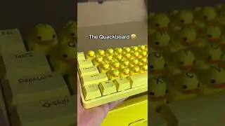 The quackboard!Shop the quackey now at Duckeys.com#toy #Artisankeycaps #Cherrymx...