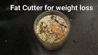 Morning drink for weight loss #fitness #dietplan #healthyindia #recipe #weightloss #whatieatinaday