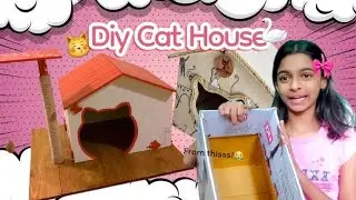 I made cutest cat house everr 🎀🫶🏻|Sweet Vaidehi| Shiro and Mani 🪬